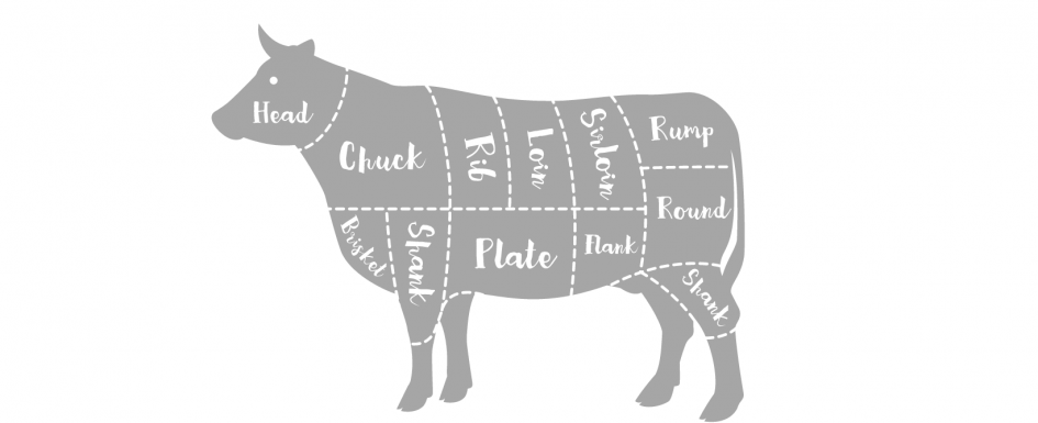 the map of beef cuts and locations on a cow
